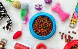 My pets supplies
