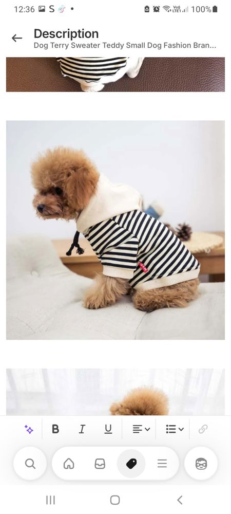 Dog Fashion Brand Clothes_thumbnail_3