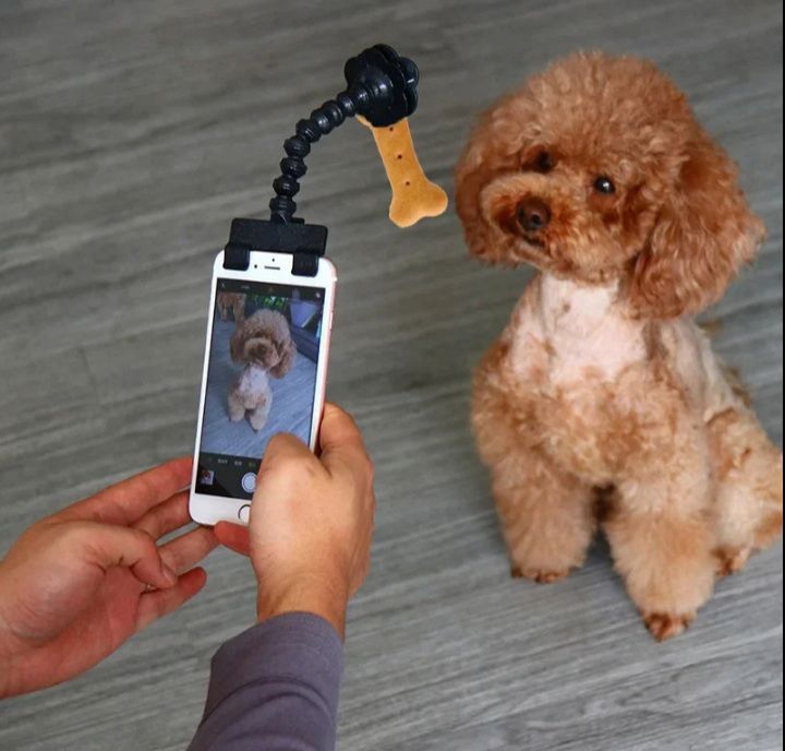 Pets Selfie stick eye catching_thumbnail_3