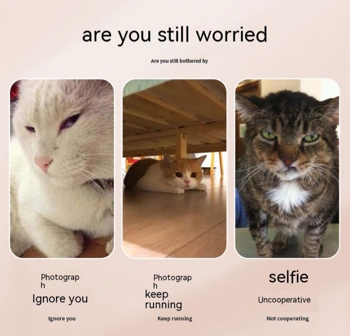 Pets Selfie stick eye catching_thumbnail_2