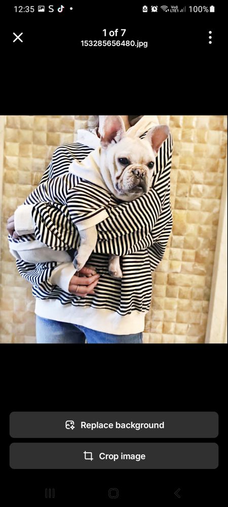 Dog Fashion Brand Clothes