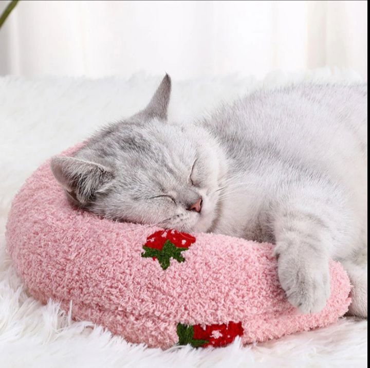 Comfy Cat Pillow